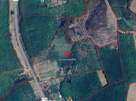  Grundstück zu verkaufen in Pak Chom, Loei, Chiang Klom, Pak Chom, Loei