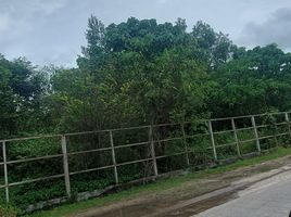  Land for sale in Robinson Lifestyle Thalang Phuket, Si Sunthon, Si Sunthon