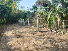  Land for sale in Chaiyaphum, Chong Sam Mo, Kaeng Khro, Chaiyaphum