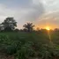  Land for sale in Akwapim South Eastern, Akwapim South, Eastern, Ghana