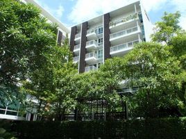 1 Schlafzimmer Wohnung zu verkaufen im Haven Condominium, Sam Sen Nai, Phaya Thai