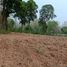  Land for sale in Chai Sathan, Mueang Nan, Chai Sathan