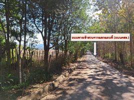  Land for sale in Fang, Chiang Mai, Mae Kha, Fang