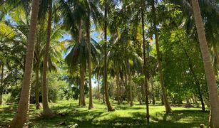 N/A Grundstück zu verkaufen in Ko Pha-Ngan, Koh Samui 