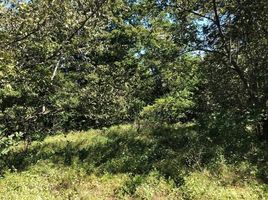  Land for sale in Bagaces, Guanacaste, Bagaces