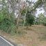  Land for sale in San Phak Wan, Hang Dong, San Phak Wan