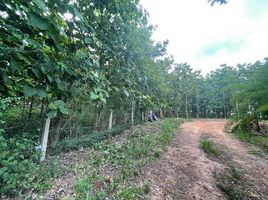 Land for sale in Ngim, Pong, Ngim