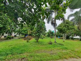  Land for sale in Si Sunthon, Thalang, Si Sunthon