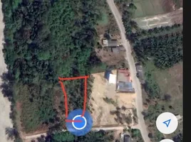 ขายที่ดิน ใน เกาะลันตา กระบี่, เกาะกลาง, เกาะลันตา, กระบี่