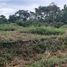  Land for sale in Cabuya, Parita, Cabuya