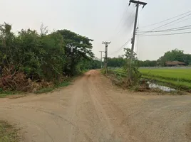  Grundstück zu verkaufen in Mae Rim, Chiang Mai, Mueang Kaeo, Mae Rim