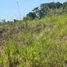  Land for sale in Phuket, Rawai, Phuket Town, Phuket