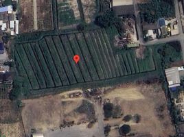  Land for sale in Nakhon Pathom, Yai Cha, Sam Phran, Nakhon Pathom