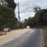  Land for sale in Thalang, Phuket, Sakhu, Thalang