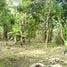  Grundstück zu verkaufen in Turrialba, Cartago, Turrialba, Cartago