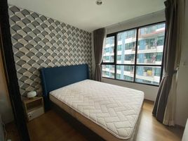 1 Schlafzimmer Wohnung zu vermieten im Centrio, Wichit, Phuket Town, Phuket