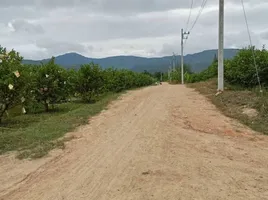  Grundstück zu verkaufen in Ban Kha, Ratchaburi, Ban Kha, Ban Kha