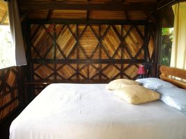 12 Bedroom House for sale in Costa Rica, Puntarenas, Puntarenas, Costa Rica