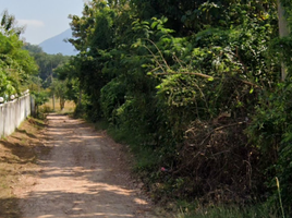  Grundstück zu verkaufen in Chiang Khan, Loei, Chiang Khan, Chiang Khan, Loei