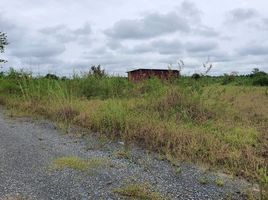  Land for sale in Banteay Meanchey, Banteay Neang, Mongkol Borei, Banteay Meanchey