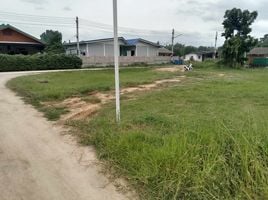  Land for sale in Sa Phang, Khao Yoi, Sa Phang