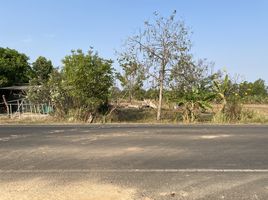  Land for sale in Mueang Buri Ram, Buri Ram, Chum Het, Mueang Buri Ram