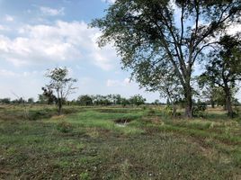  Land for sale in Lop Buri, Sakae Rap, Khok Samrong, Lop Buri
