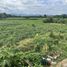 1 Bedroom House for sale in Lam Narai, Lop Buri, Lam Narai, Chai Badan, Lop Buri
