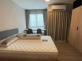 1 Schlafzimmer Appartement zu vermieten im Dcondo Hideaway-Rangsit, Khlong Nueng, Khlong Luang