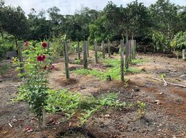  Grundstück zu verkaufen in Presidente Figueiredo, Amazonas, Presidente Figueiredo