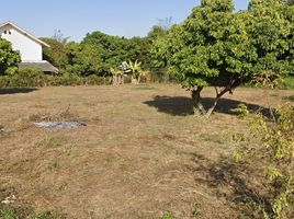  Land for sale in Thailand, Buak Khang, San Kamphaeng, Chiang Mai, Thailand