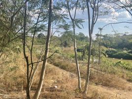  Grundstück zu verkaufen in Mae Rim, Chiang Mai, Mueang Kaeo