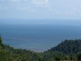  Grundstück zu verkaufen in Golfito, Puntarenas, Golfito