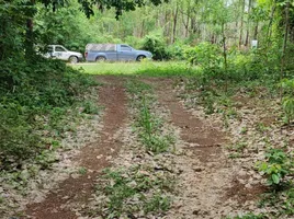 ขายที่ดิน ใน แหลมงอบ ตราด, แหลมงอบ, แหลมงอบ