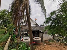 3 Schlafzimmer Haus zu verkaufen in Kaeng Khro, Chaiyaphum, Nong Phai, Kaeng Khro