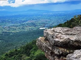 2 Schlafzimmer Haus zu verkaufen in Mueang Chaiyaphum, Chaiyaphum, Khok Sung