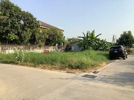  Grundstück zu verkaufen in Pak Kret, Nonthaburi, Ban Mai, Pak Kret, Nonthaburi