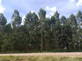  Land for sale in Si Maha Phot, Prachin Buri, Krok Sombun, Si Maha Phot