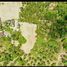  Land for sale in Surat Thani, Ban Tai, Ko Pha-Ngan, Surat Thani