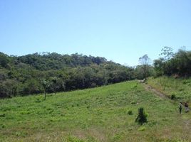  Land for sale in Alajuela, Alfaro Ruiz, Alajuela