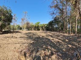  Land for sale in Chiang Mai, Buak Khang, San Kamphaeng, Chiang Mai