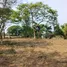  Land for sale in Chomphu, Lampang, Chomphu, Mueang Lampang