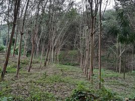  Land for sale in Bang Saphan, Prachuap Khiri Khan, Thong Mongkhon, Bang Saphan