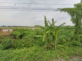  Land for sale in Nonthaburi, Lahan, Bang Bua Thong, Nonthaburi