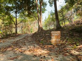  Land for sale in Surat Thani, Ko Pha-Ngan, Ko Pha-Ngan, Surat Thani