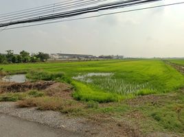  Land for sale in Lam Luk Ka, Pathum Thani, Bueng Kham Phroi, Lam Luk Ka