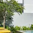 2 Schlafzimmer Haus zu vermieten in Bo Phut, Koh Samui, Bo Phut