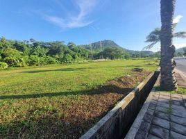  Land for sale in Si Sunthon, Thalang, Si Sunthon