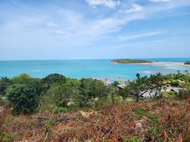  Land for sale in Surat Thani, Bo Phut, Koh Samui, Surat Thani