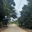  Land for sale in Koh Samui Surat Thani, Maret
